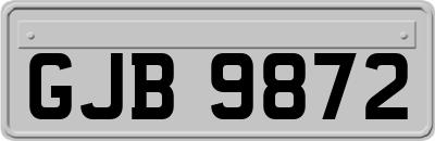 GJB9872