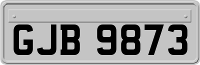 GJB9873