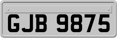 GJB9875