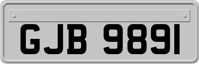 GJB9891