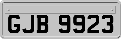 GJB9923