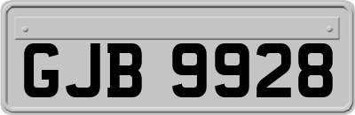 GJB9928