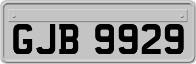 GJB9929