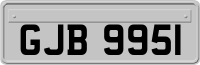 GJB9951