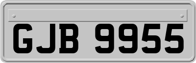 GJB9955