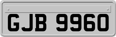 GJB9960