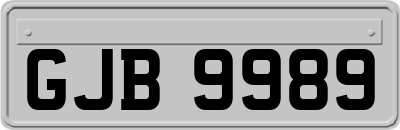 GJB9989
