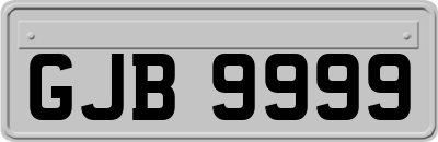 GJB9999