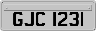 GJC1231