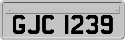 GJC1239