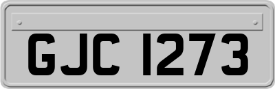 GJC1273