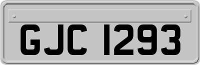 GJC1293