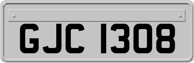 GJC1308