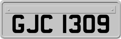 GJC1309