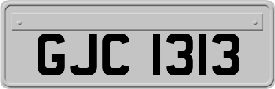 GJC1313