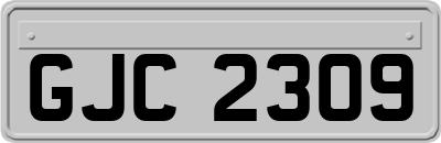 GJC2309