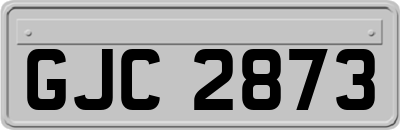 GJC2873
