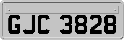 GJC3828