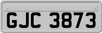 GJC3873