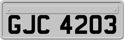 GJC4203