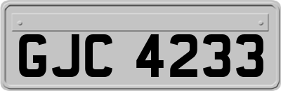 GJC4233