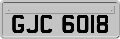 GJC6018