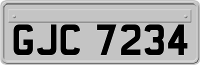 GJC7234