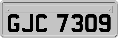 GJC7309