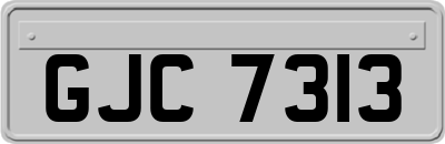 GJC7313