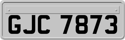 GJC7873