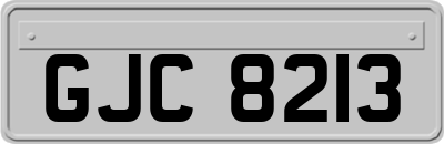 GJC8213