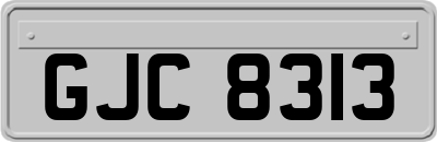 GJC8313