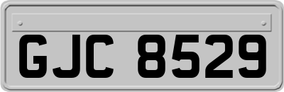 GJC8529
