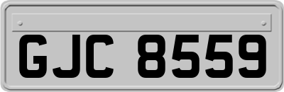 GJC8559