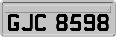 GJC8598
