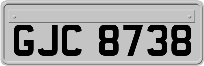 GJC8738