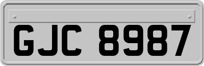 GJC8987