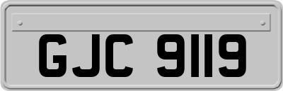 GJC9119