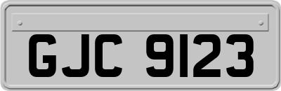GJC9123