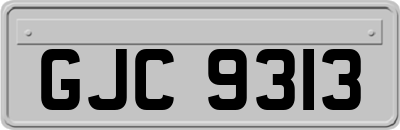 GJC9313