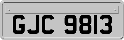 GJC9813