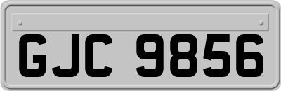 GJC9856