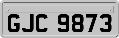 GJC9873