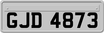 GJD4873