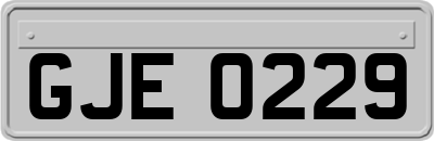 GJE0229