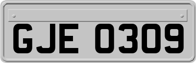 GJE0309