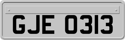 GJE0313