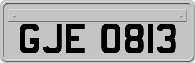 GJE0813