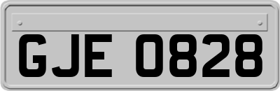 GJE0828