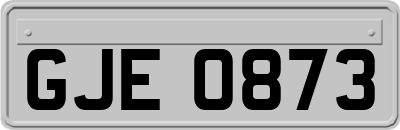 GJE0873